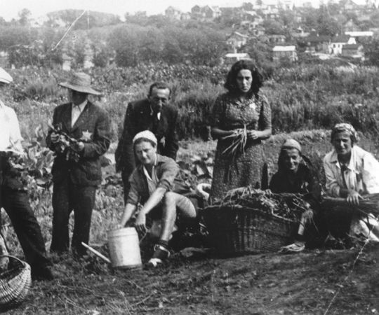 A group of Jews tend one of the vegetable gardens in the Kovno ghetto